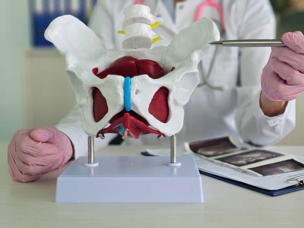 Pelvic Floor Dysfunction: What Does It Actually Mean?